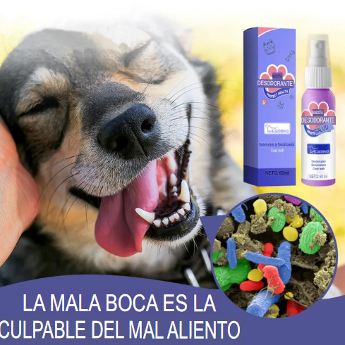 Spray  Dental Pet