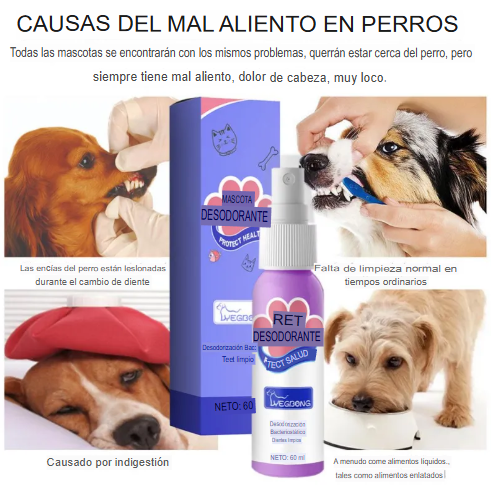 Spray  Dental Pet