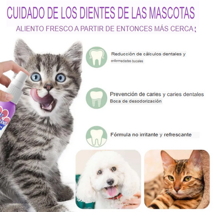 Spray  Dental Pet