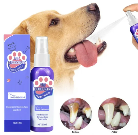 Spray  Dental Pet