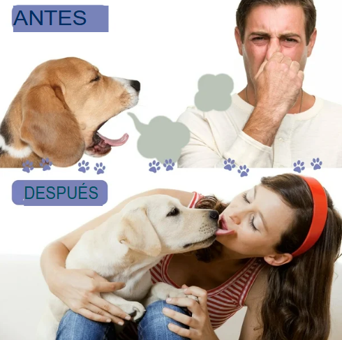 Spray  Dental Pet