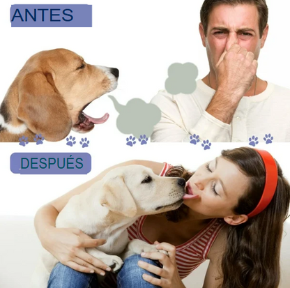 Spray  Dental Pet