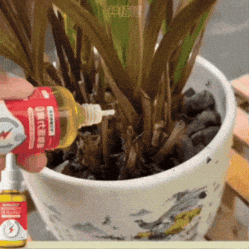 ECO GROW - Crecimiento para plantas